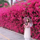 南华大学 - 绍兴市旅游 缩略图 7
