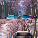 万源街[地铁站] - 北京市旅游 缩略图 1