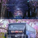 万源街[地铁站] - 北京市旅游 缩略图 5