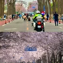 万源街[地铁站] - 北京市旅游 缩略图 3