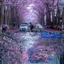 万源街[地铁站] - 北京市旅游 缩略图 6