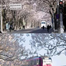万源街[地铁站] - 北京市旅游 缩略图 7