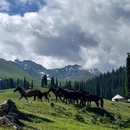 伊犁河风景旅游区 - 伊犁哈萨克自治州旅游 缩略图 3
