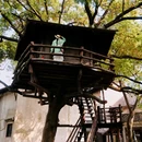 乌镇西栅景区 - 嘉兴市旅游 缩略图 4