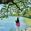 玄武湖景区 - 南京市旅游 缩略图 3