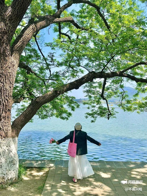玄武湖景区 - 南京市旅游