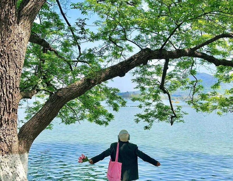 玄武湖景区 - 南京市旅游 1