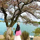 玄武湖景区 - 南京市旅游 缩略图 7