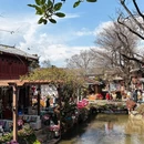 丽江古城 - 丽江旅游 缩略图 7