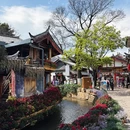 丽江古城 - 丽江旅游 缩略图 8