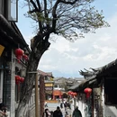 丽江古城 - 丽江旅游 缩略图 5