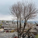 丽江古城 - 丽江旅游 缩略图 4