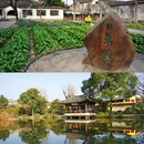 安昌古镇 - 绍兴市旅游 缩略图 6