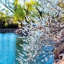 颐和园 - 北京市旅游 缩略图 5