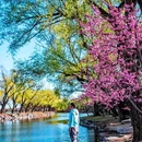 颐和园 - 北京市旅游 缩略图 4