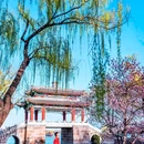 颐和园 - 北京市旅游 缩略图 8