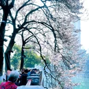 成都市植物园 - 成都市旅游 缩略图 2