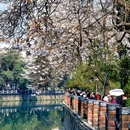 成都市植物园 - 成都市旅游 缩略图 3