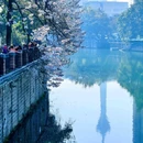 成都市植物园 - 成都市旅游 缩略图 4