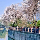 成都市植物园 - 成都市旅游 缩略图 1