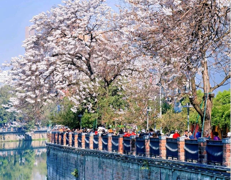 成都市植物园 - 成都市旅游 1