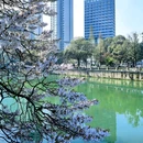 成都市植物园 - 成都市旅游 缩略图 5