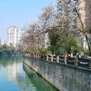 成都市植物园 - 成都市旅游 缩略图 9
