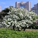 河南博物院游客服务中心 - 郑州市旅游 缩略图 1