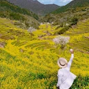 景德镇古窑民俗博览区 - 景德镇市旅游 缩略图 7
