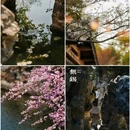 蠡园-主入口 - 无锡市旅游 缩略图 6