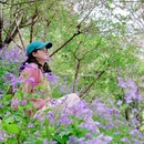 心道天堂 - 成都市旅游 缩略图 6