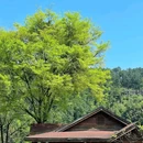 心道天堂 - 成都市旅游 缩略图 9