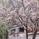 天津市河西医院 - 天津旅游 缩略图 2