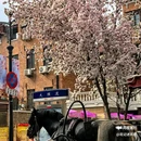 天津市河西医院 - 天津旅游 缩略图 5