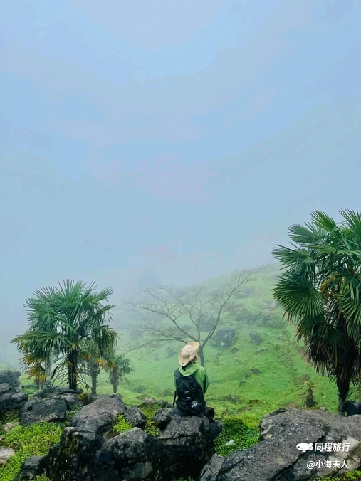 漆树堂 - 重庆市旅游