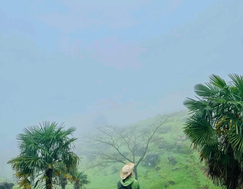 漆树堂 - 重庆市旅游 1