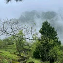 漆树堂 - 重庆市旅游 缩略图 2