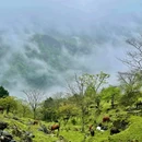 漆树堂 - 重庆市旅游 缩略图 6