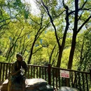 黄葛古道 - 重庆市旅游 缩略图 2