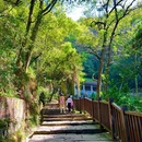 黄葛古道 - 重庆市旅游 缩略图 6