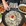 深圳市·巡味顺德菜(大运天地店)