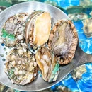 巡味顺德菜(大运天地店) - 深圳市旅游 缩略图 3