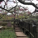 宝狮湖生态园 - 成都市旅游 缩略图 2