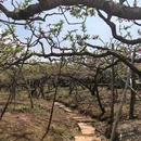 宝狮湖生态园 - 成都市旅游 缩略图 4
