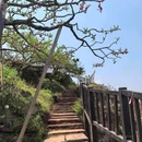 宝狮湖生态园 - 成都市旅游 缩略图 5