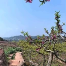 宝狮湖生态园 - 成都市旅游 缩略图 6