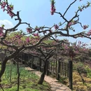 宝狮湖生态园 - 成都市旅游 缩略图 8