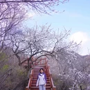 十三陵大岭沟猕猴桃谷自然风景区 - 北京市旅游 缩略图 2