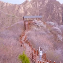 十三陵大岭沟猕猴桃谷自然风景区 - 北京市旅游 缩略图 4