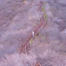 十三陵大岭沟猕猴桃谷自然风景区 - 北京市旅游 缩略图 1